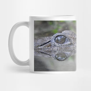 Freshwater Crocodile Mug